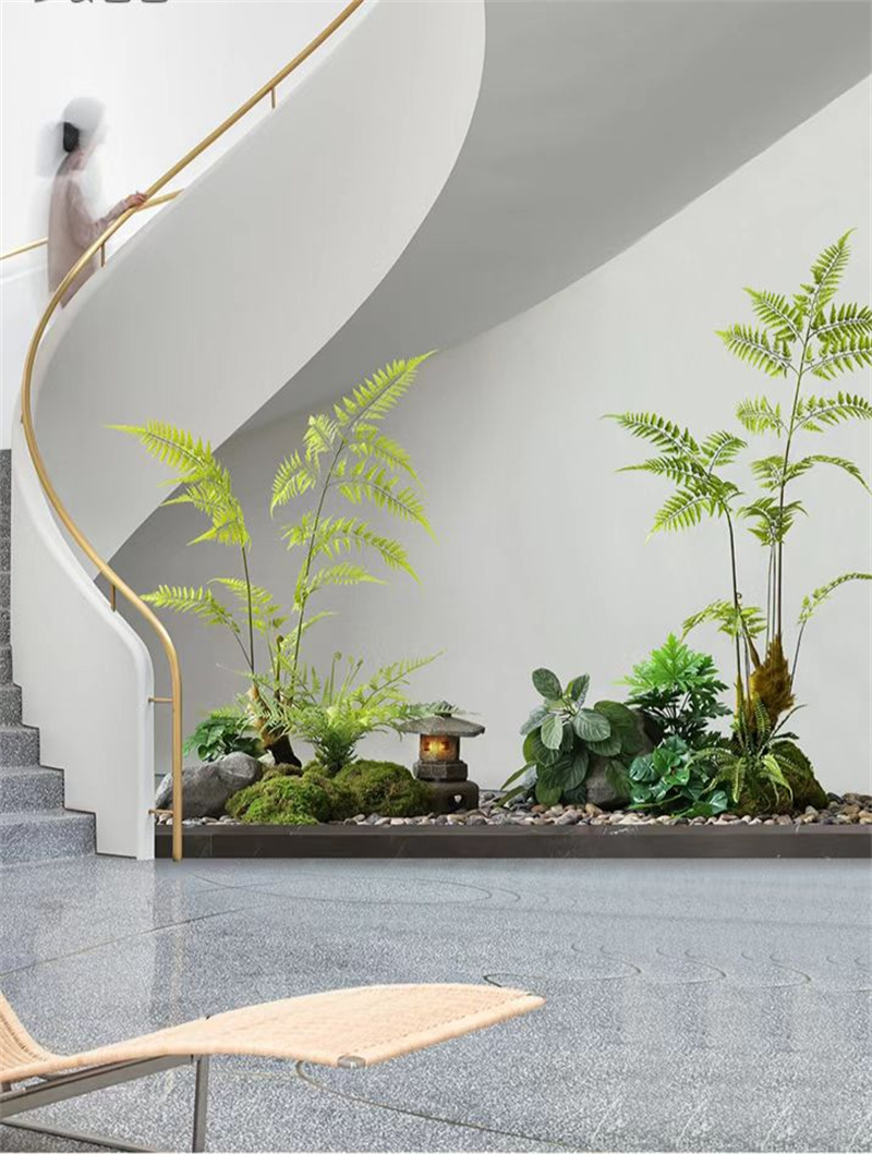 微景观植物造景