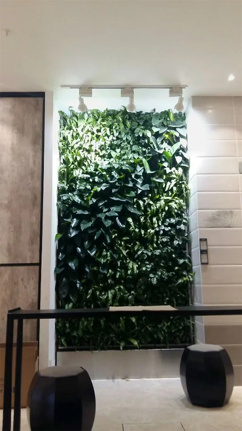 垂直绿化