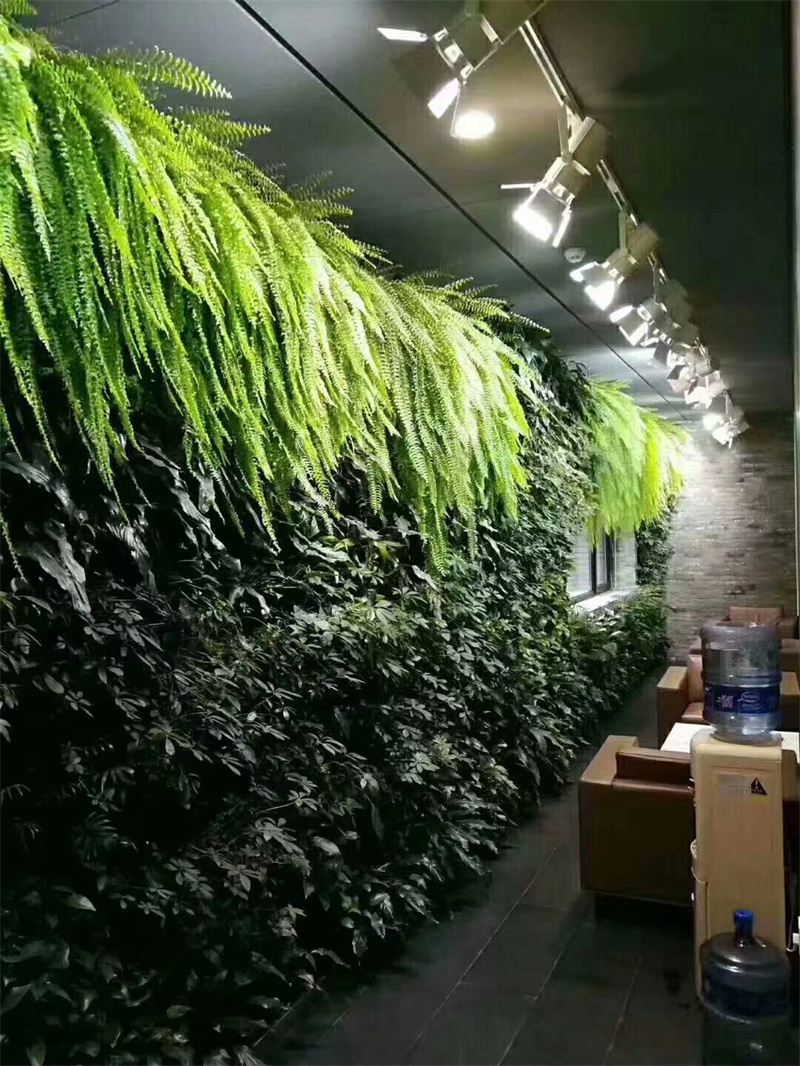 垂直绿化