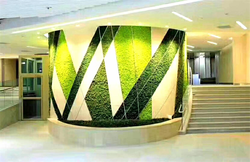 永生苔藓