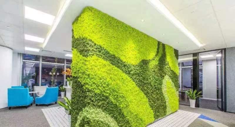 永生苔藓