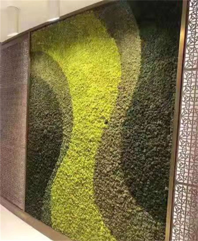 永生苔藓