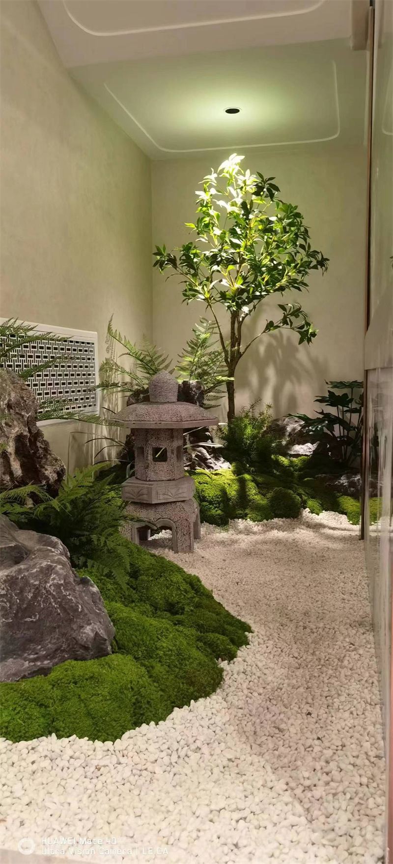 微景观植物造景
