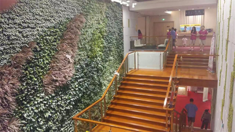 垂直绿化