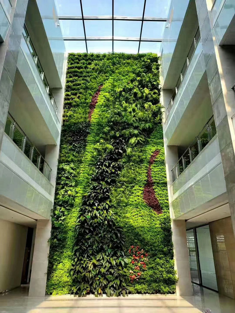 植物墙